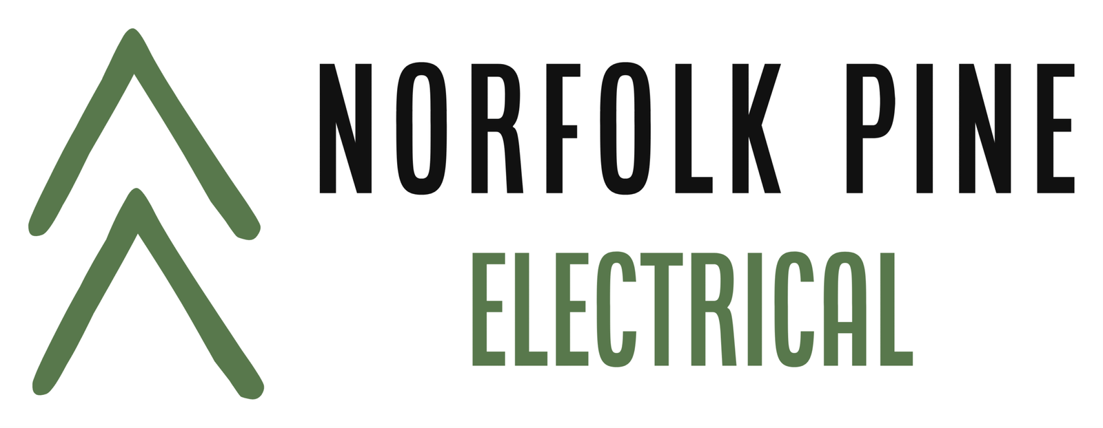 Norfolk Pine Electrical